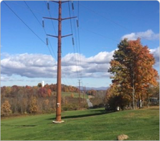 Cleanup and restoration near transmission line