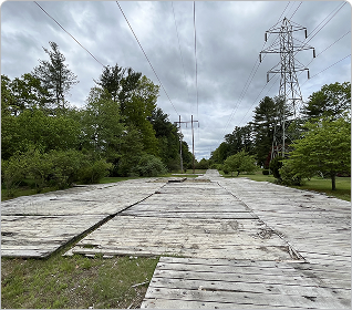access route clearing