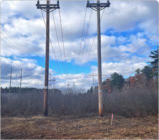 Transmission line structure staking